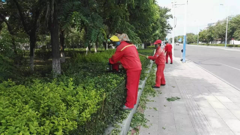 苗木供应市场现状与前景