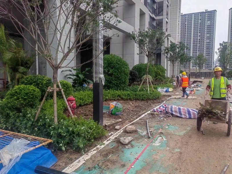 园林绿化工程引领城市绿肺新纪元