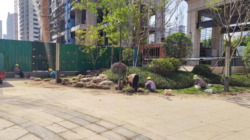 绿化养护——城市绿肺的心跳